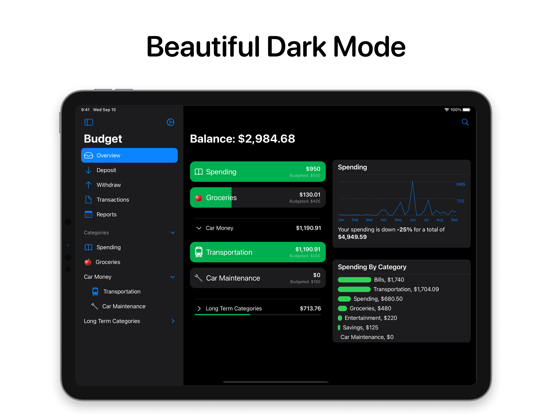 OpenBudget - Budget and Save iPad screenshot 8 - Finance app