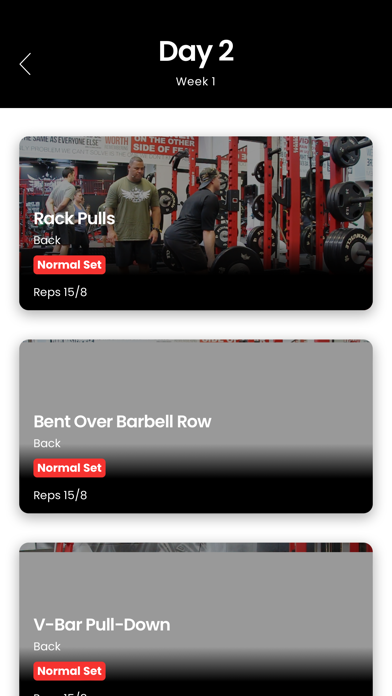 NZ Muscle Fitness Screenshot