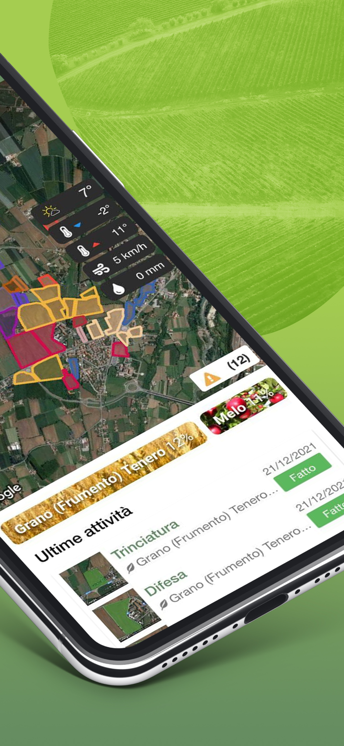 Cereal Docks - Sistema Green