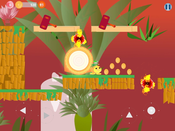 Silent Valley Adventure