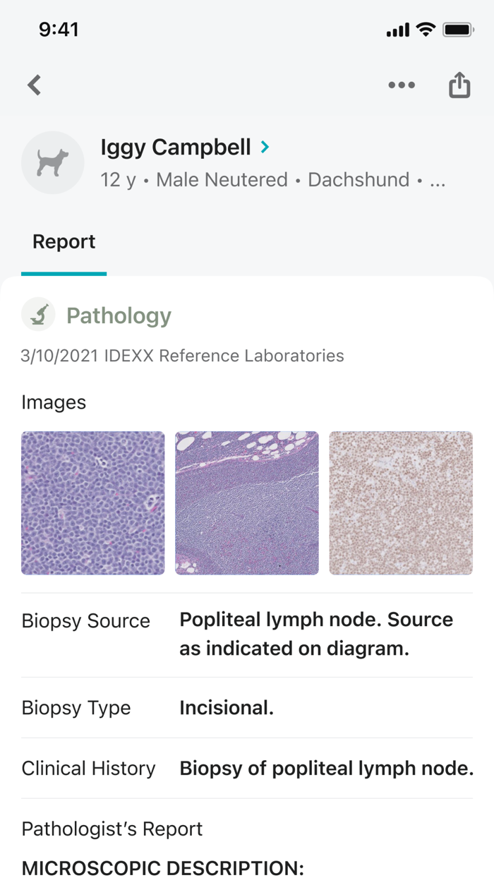 IDEXX VetConnect® PLUS