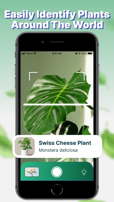 Plant Identifier & Finder App Screenshot