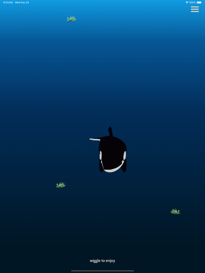 Whale Wiggle