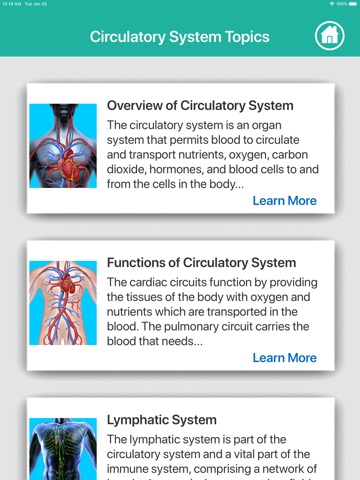 Anatomy : Circulatory Systemのおすすめ画像6