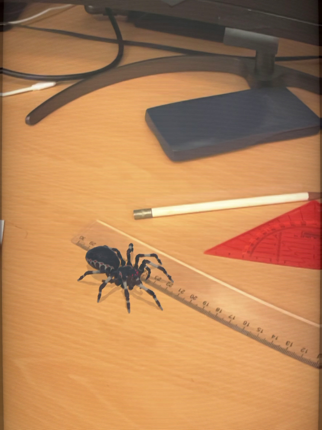 Screenshot dei ragni AR