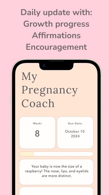 Pregnancy Daily Progress