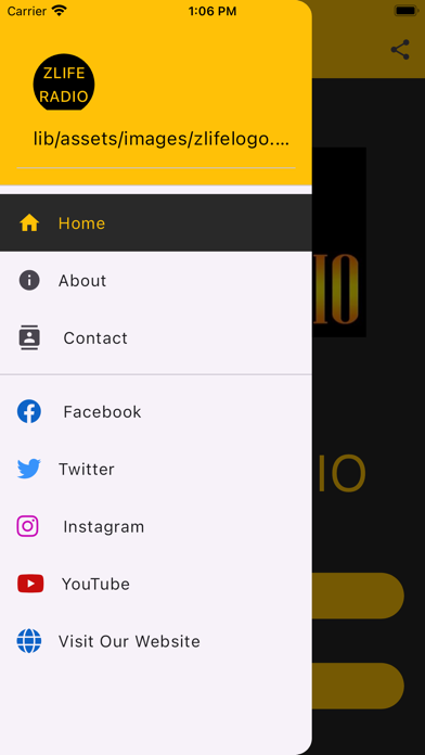 Zlife Radio Screenshot