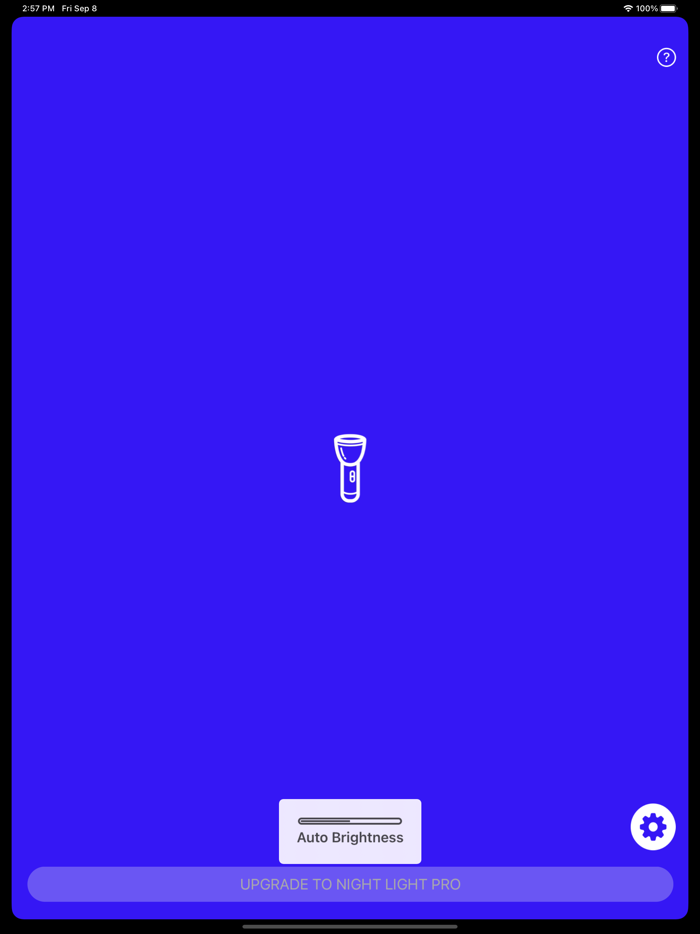 Night Light Lite Nightlight