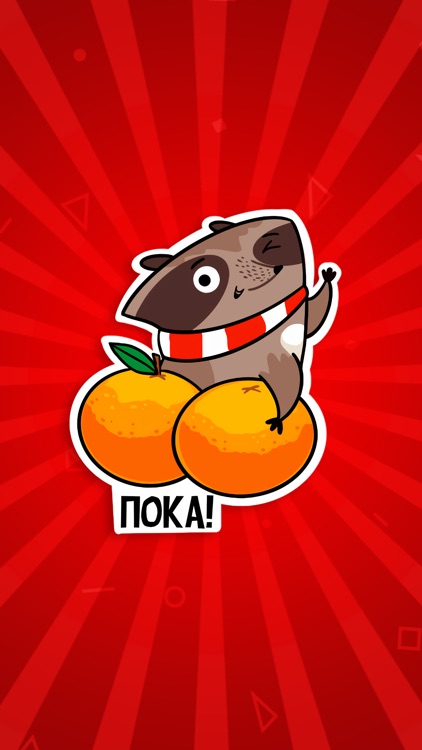 Новогодний Енот screenshot-5