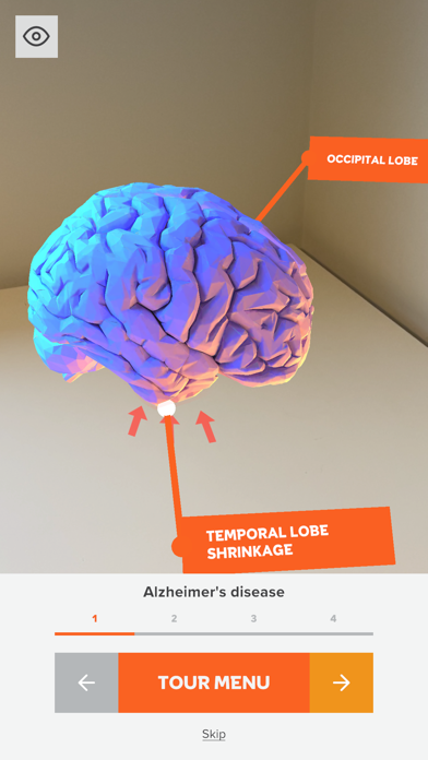 The Brain Tour Screenshot