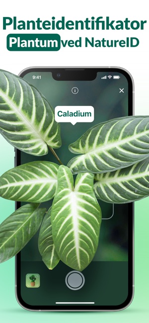 Plantum・Genkend planter, træer i App Store