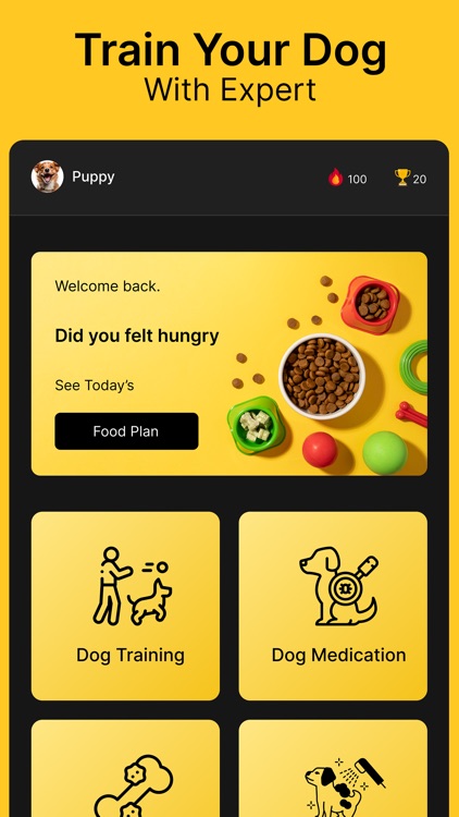 Dog Training & Pet Care Tricks