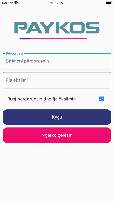 Paykos Terminal Screenshot