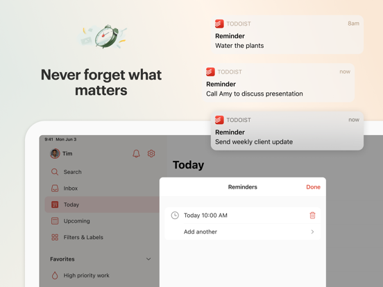 Todoist: To-do lijst & planner iPad app afbeelding 6