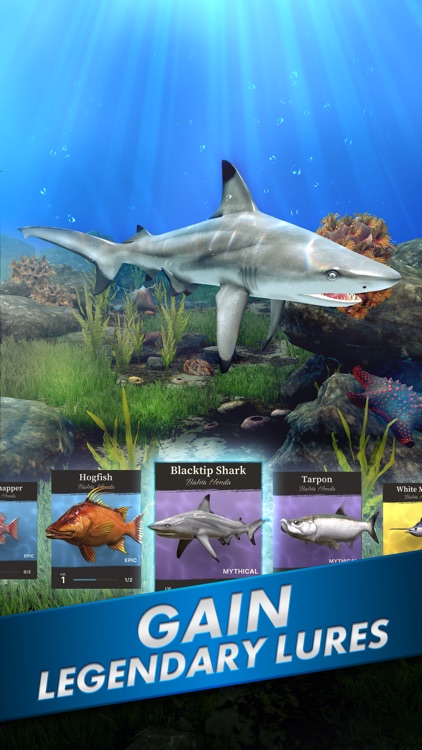 Ultimate Fishing! Fish Game screenshot-5