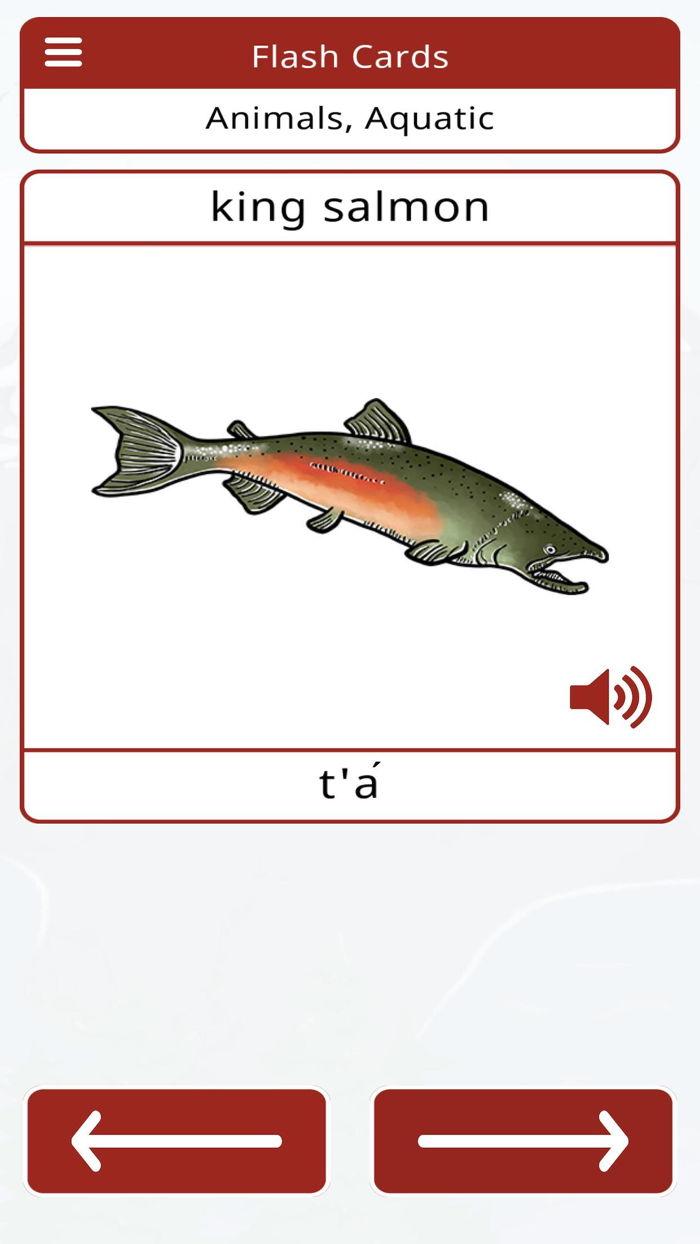 Tlingit Vocab Builder