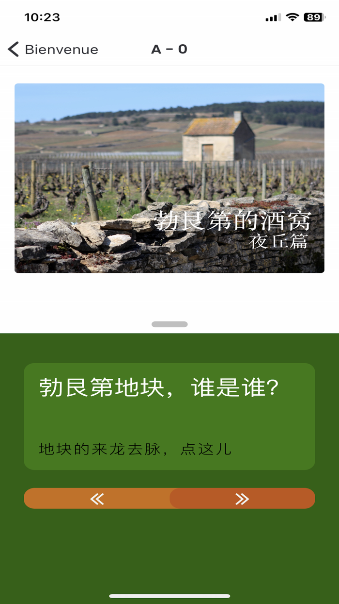 勃艮第的酒窝 Vins de Bourgogne