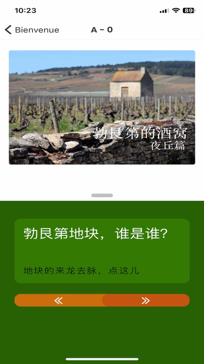 勃艮第的酒窝 Vins de Bourgogne