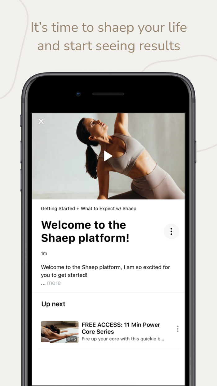 shaep by Kelsey Rose