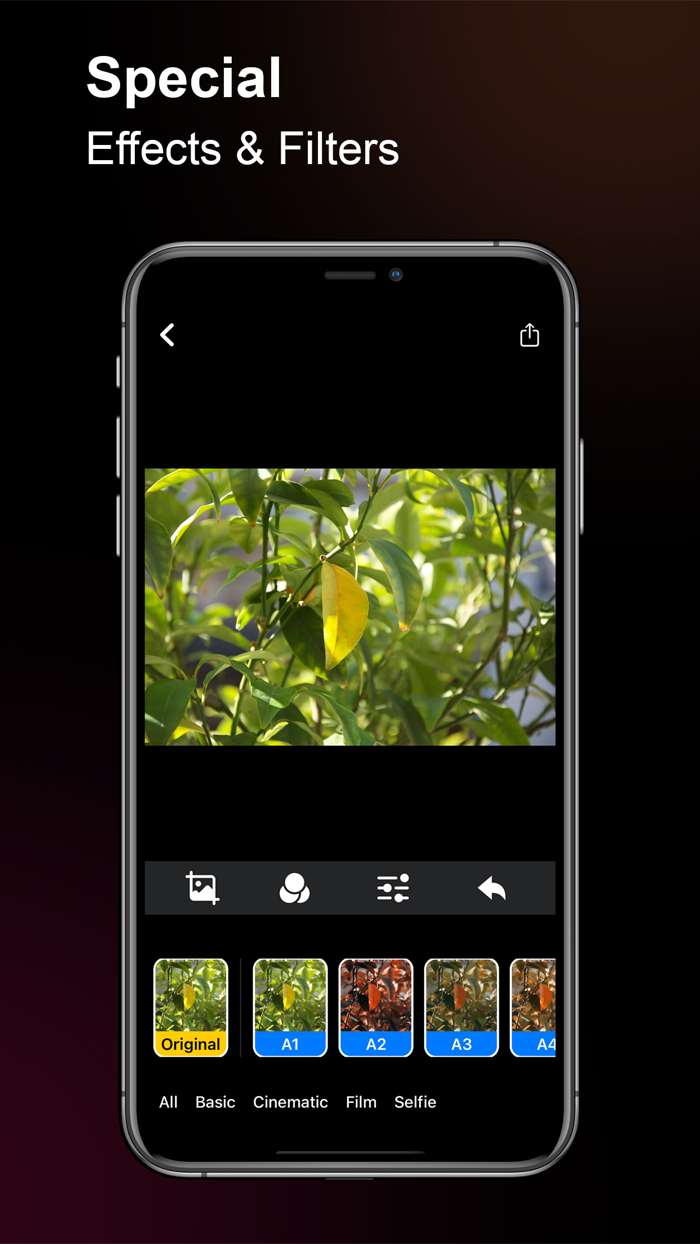 PicsShot Pro - Photo Editor