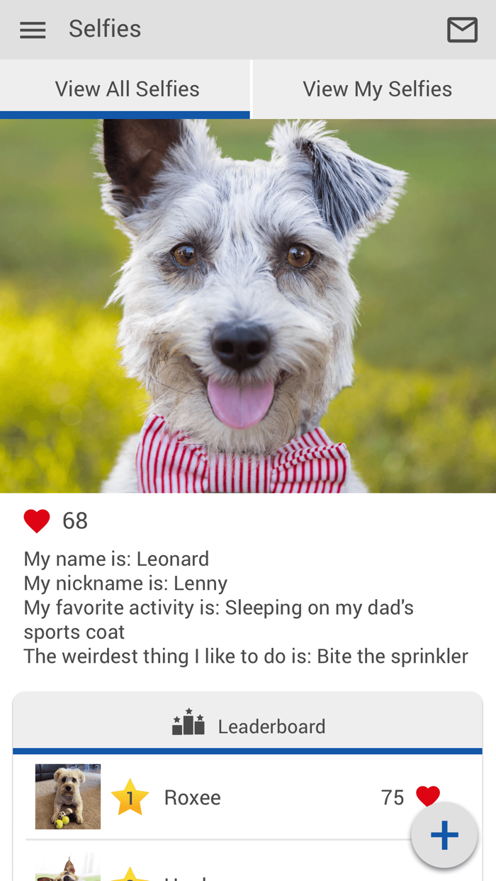 Companion Animal Hospital FL