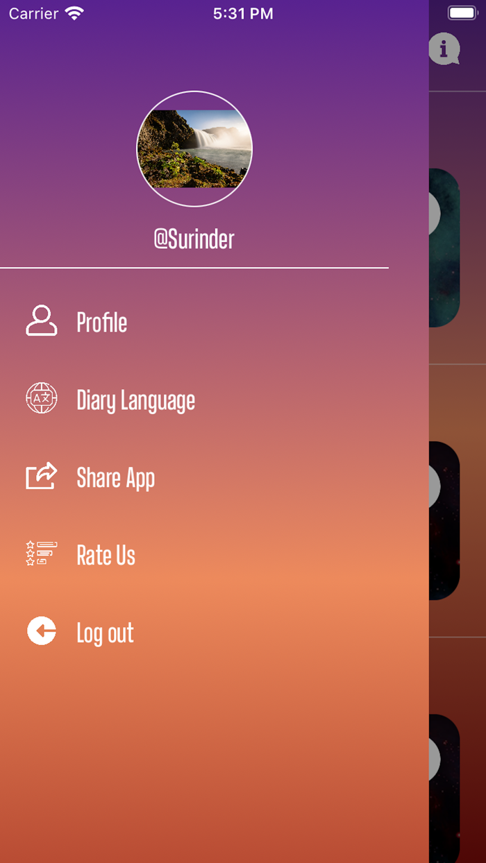 Aline Daily Intentions