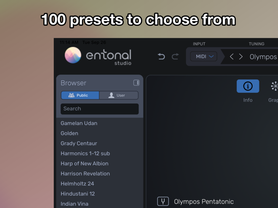 Entonal Studio iPad screenshot 8 - Music app