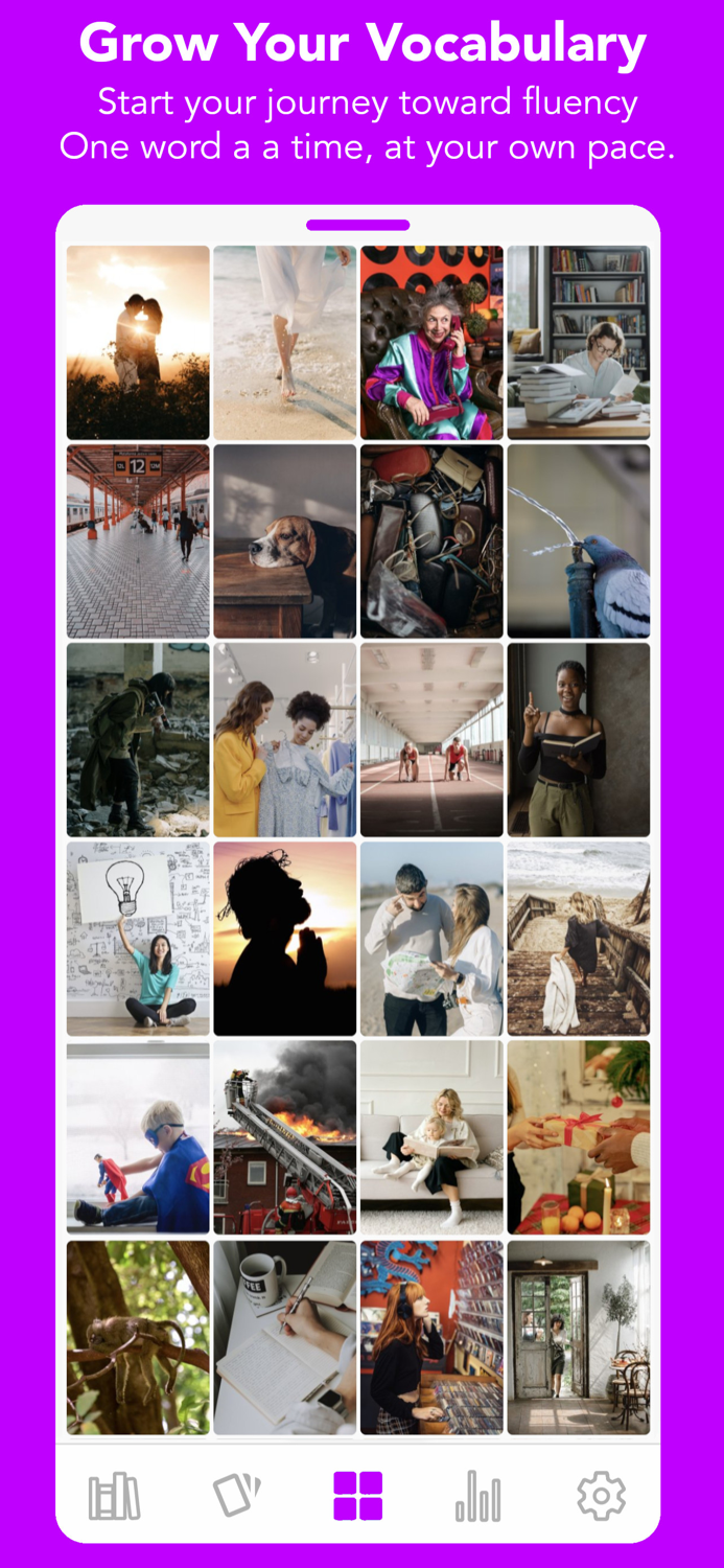 Ginkgo Learn French Language