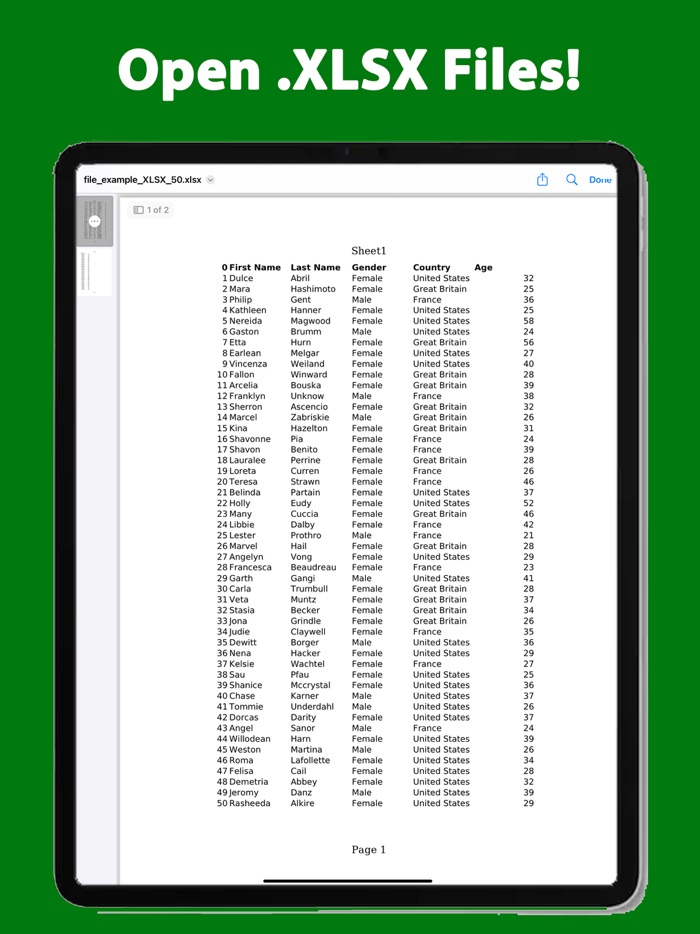 XLSX Reader Converter XLS PDF