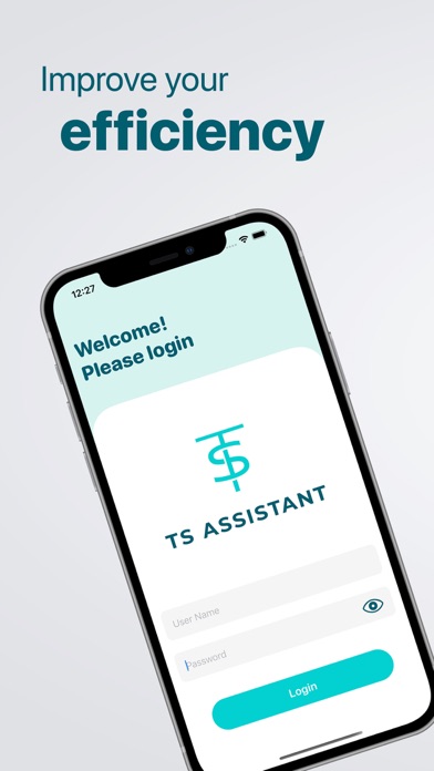 TS Assistant Screenshot