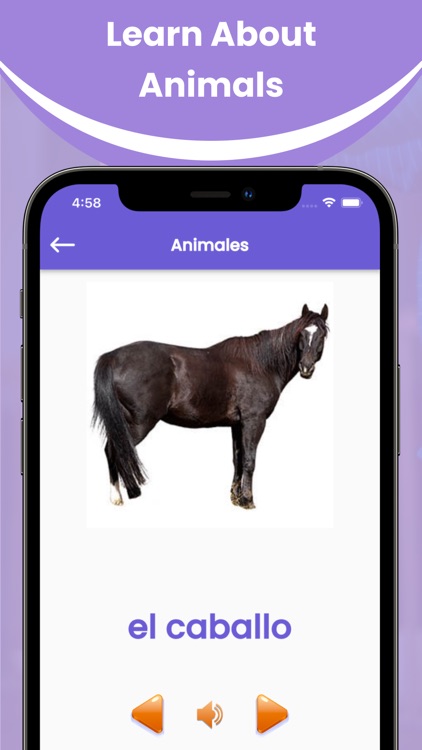 Spanish Learning for Kid