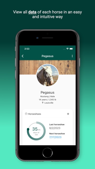 Horsefy Screenshot