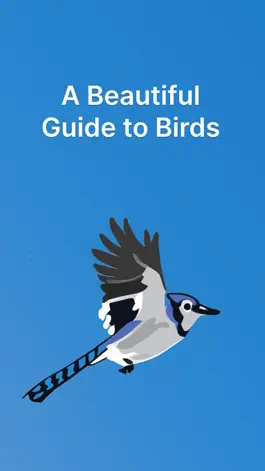 Game screenshot Feather Finder - A Bird Guide apk