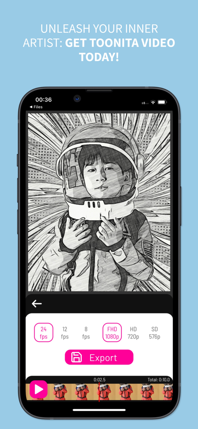 Toonita Video Pop Art Filters