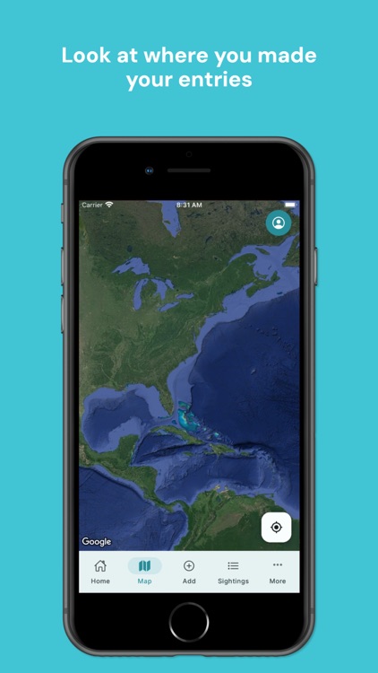 In-Water Sea Turtle Sighting screenshot-3