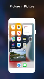 ipip - picture in picture iphone screenshot 2