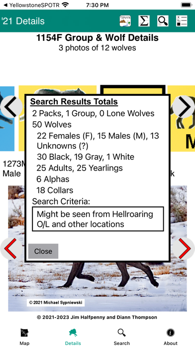 Yellowstone Wolves 2021 Screenshot