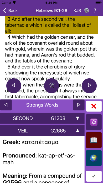 Veil Bible App Screenshot