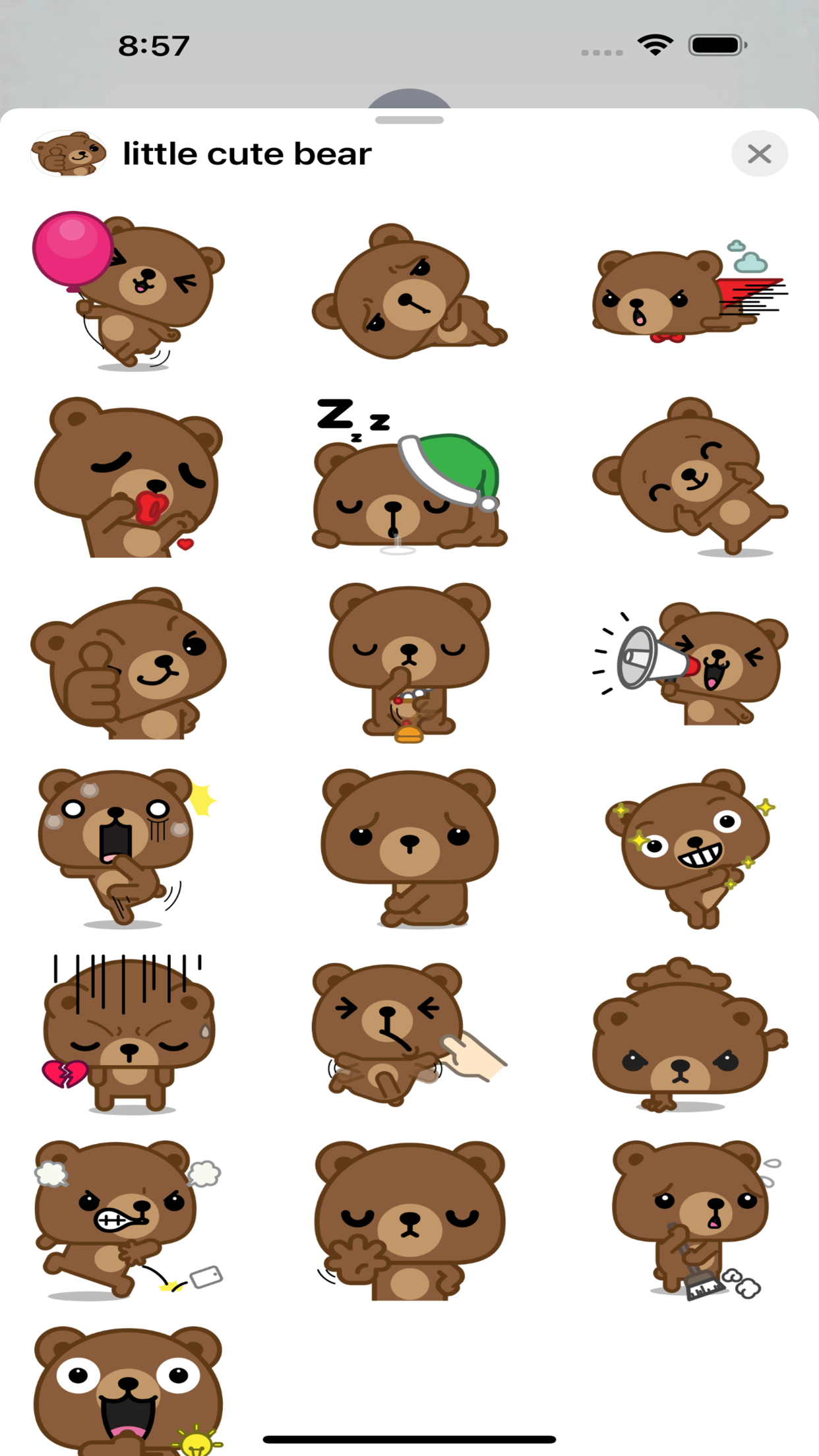 little cute bear