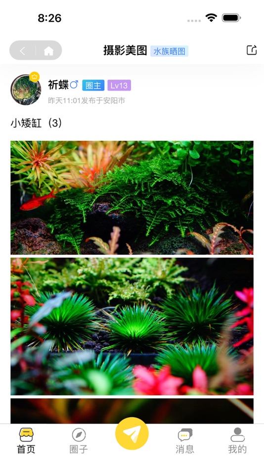 #4. 水族圈 (iOS) 来自: 大伦 王