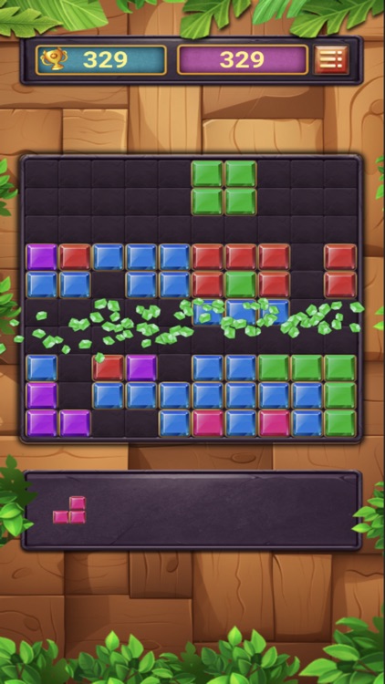 Block Fun Puzzle Pro Premium by Diana Kisil