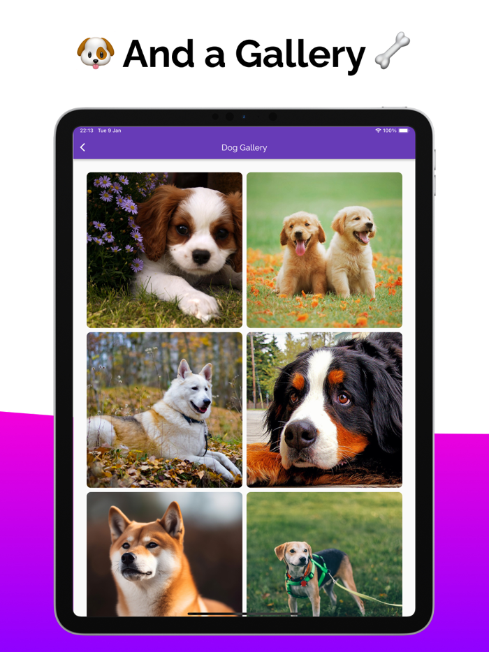 Dog Care Guide Pup Tips and Fun