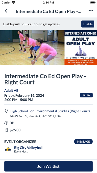 Big City Volleyball Screenshot