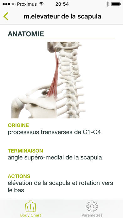 Screenshot #3 pour Dry Needling Guide