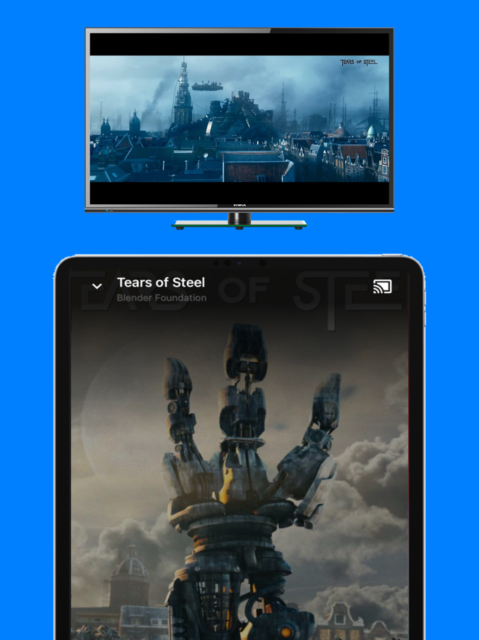 Anyview Cast Screen Mirroring