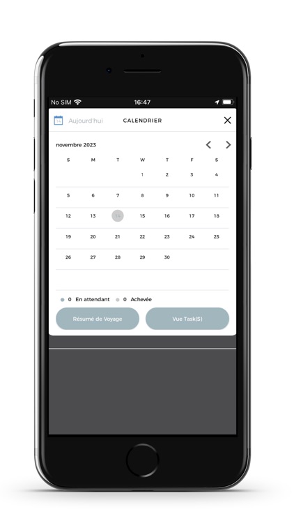flypro for therapists