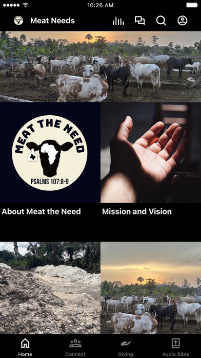 Meat the Need Screenshot