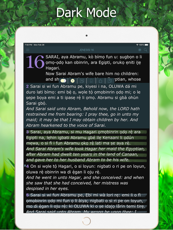 Screenshot #6 pour Yoruba Bible Holy Version KJV