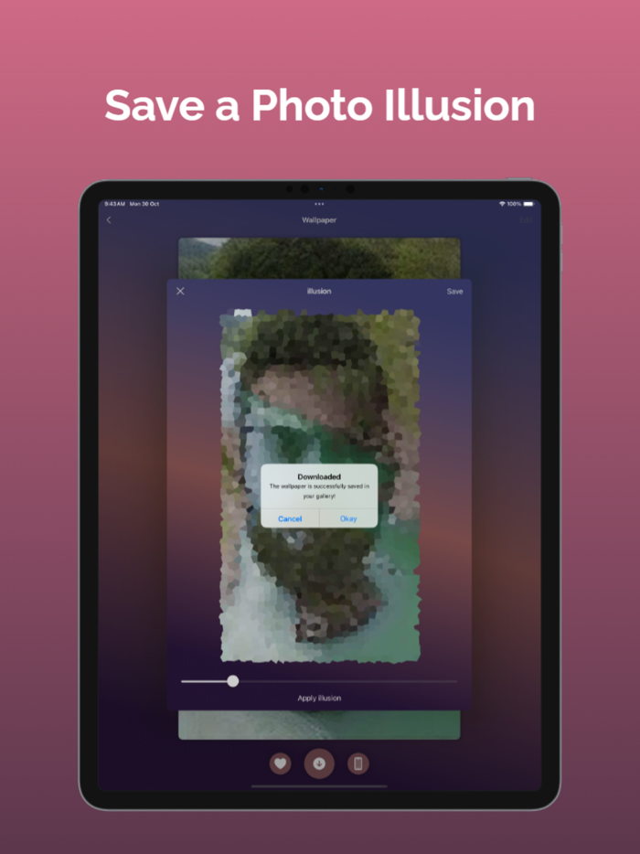 Photo Illusion Diffusion