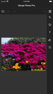 merge photo pro problems & solutions and troubleshooting guide - 3